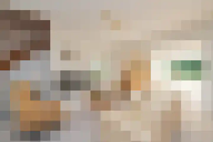 Piustuin 22 Lisse thumbnail 11