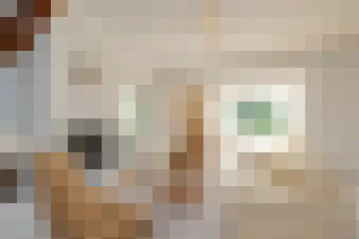 Piustuin 22 Lisse thumbnail 12