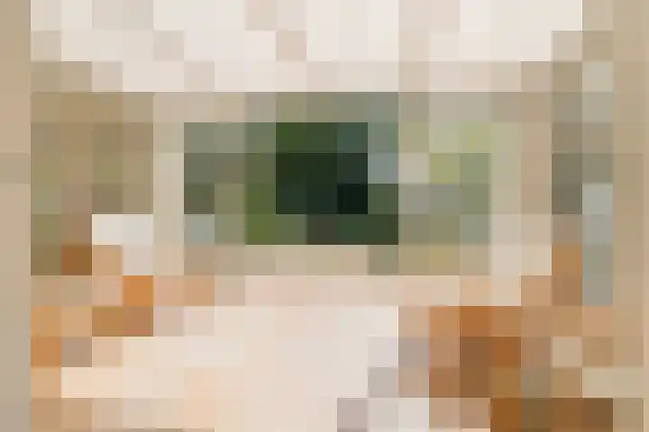 Piustuin 22 Lisse thumbnail 15