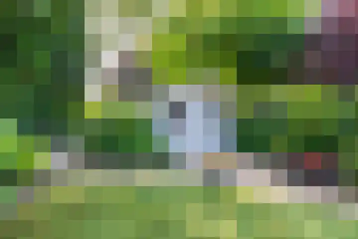Piustuin 22 Lisse thumbnail 17