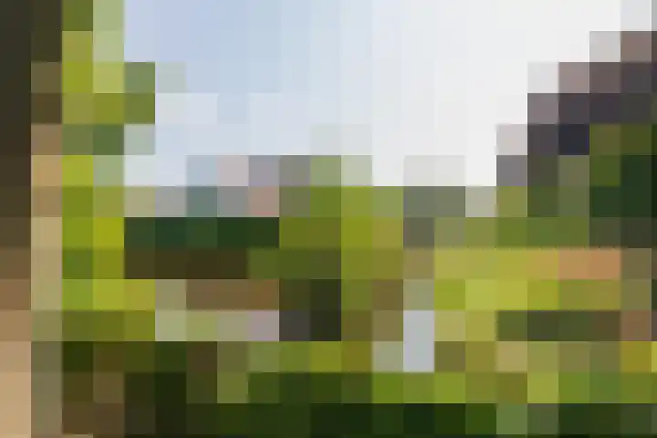 Piustuin 22 Lisse thumbnail 19