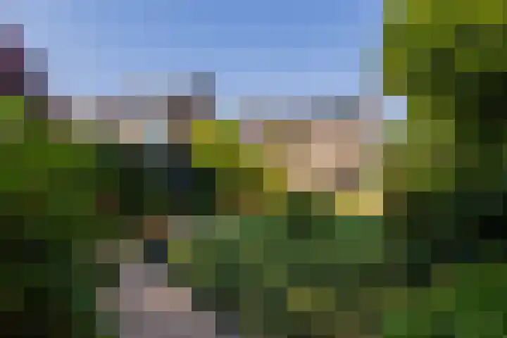 Piustuin 22 Lisse thumbnail 20