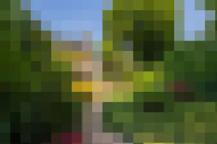 Piustuin 22 Lisse thumbnail 21