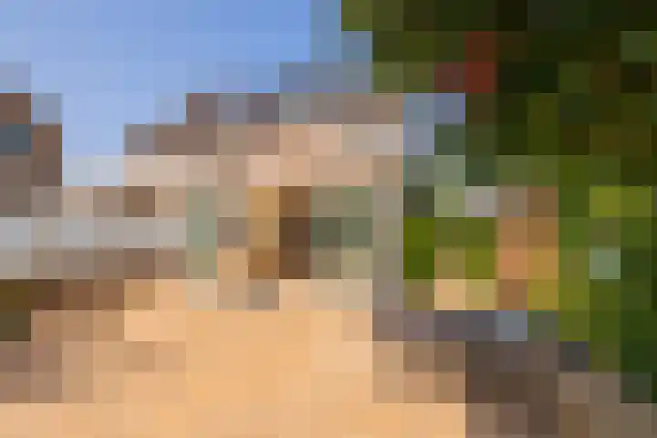 Piustuin 22 Lisse thumbnail 22