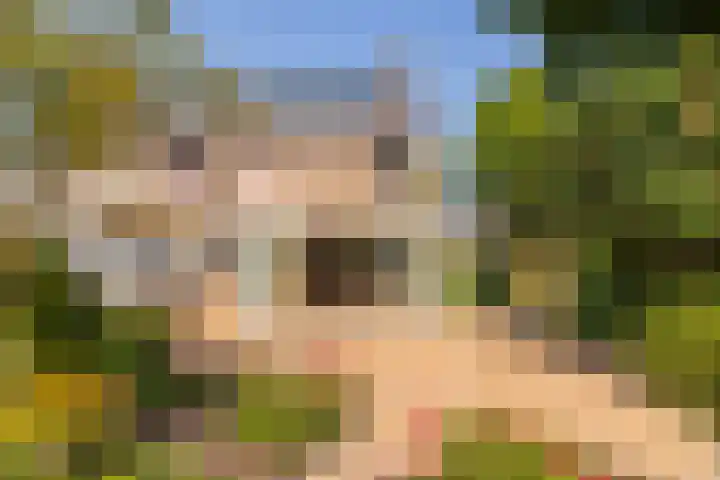 Piustuin 22 Lisse thumbnail 23