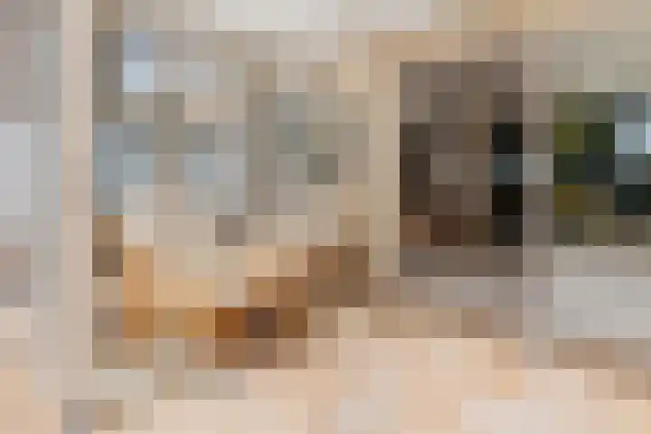 Piustuin 22 Lisse thumbnail 25