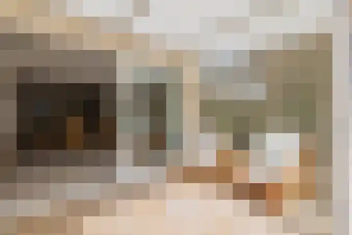 Piustuin 22 Lisse thumbnail 26