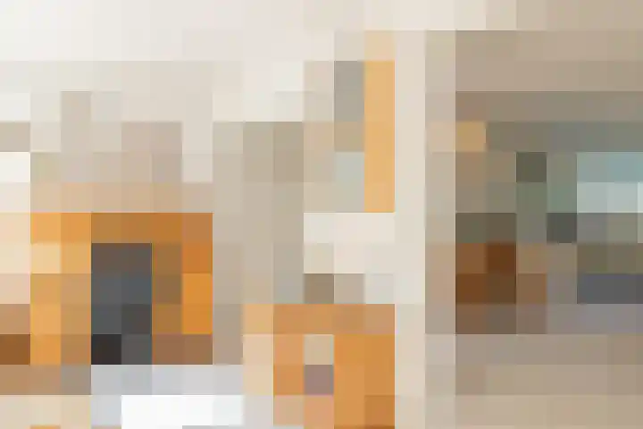 Piustuin 22 Lisse thumbnail 27