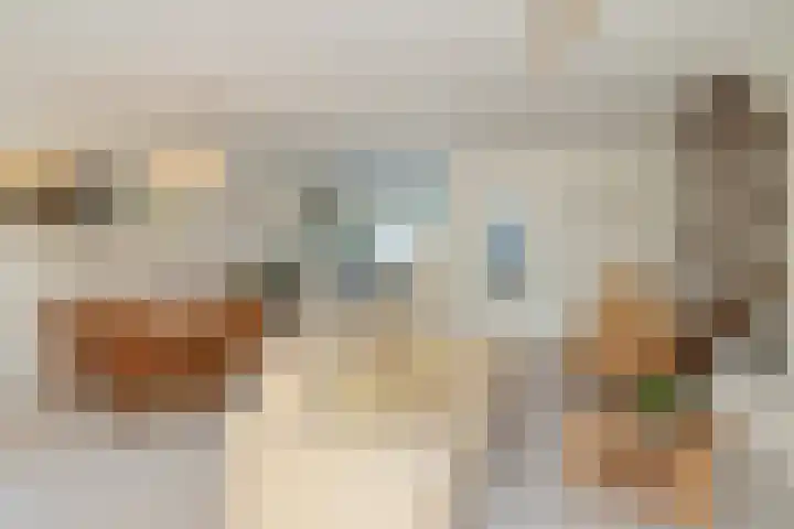 Piustuin 22 Lisse thumbnail 29