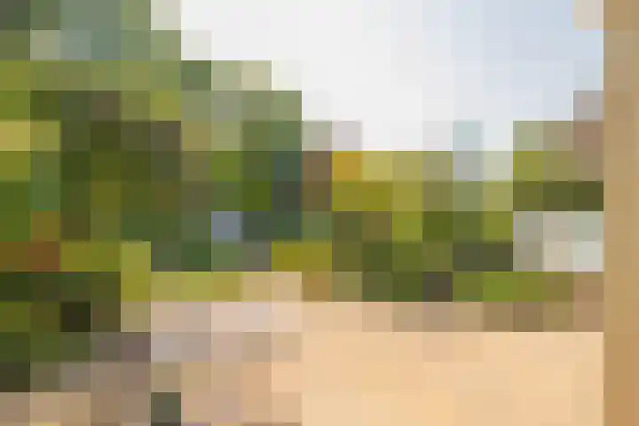 Piustuin 22 Lisse foto 3