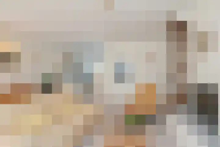 Piustuin 22 Lisse thumbnail 30