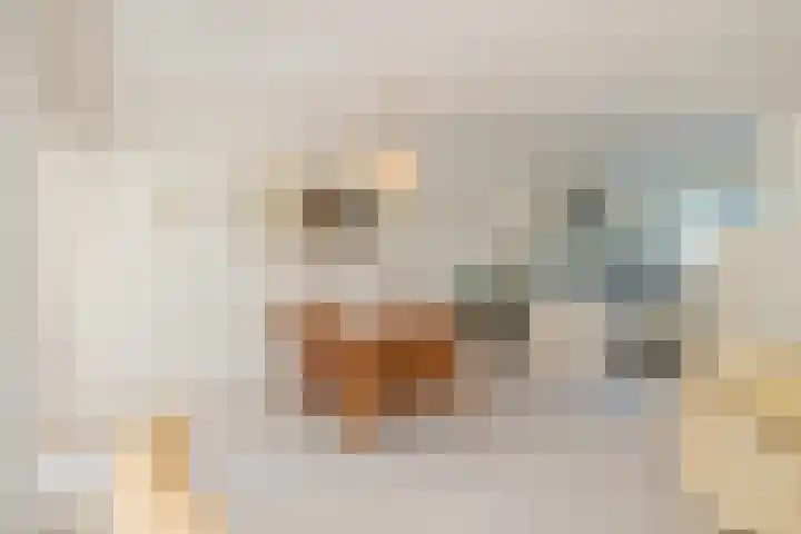 Piustuin 22 Lisse thumbnail 31