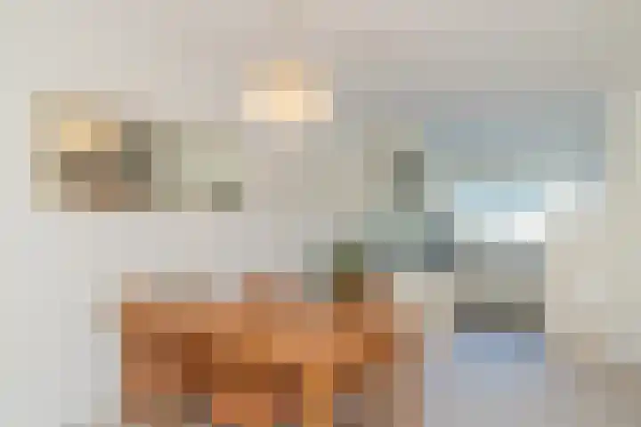 Piustuin 22 Lisse thumbnail 32