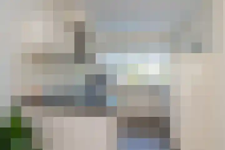 Piustuin 22 Lisse thumbnail 33