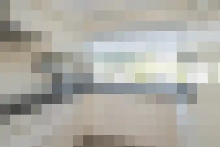 Piustuin 22 Lisse thumbnail 34