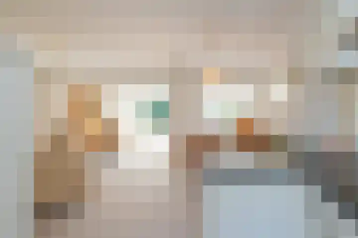 Piustuin 22 Lisse thumbnail 35