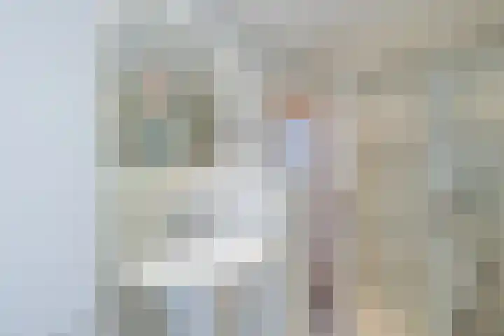 Piustuin 22 Lisse thumbnail 37