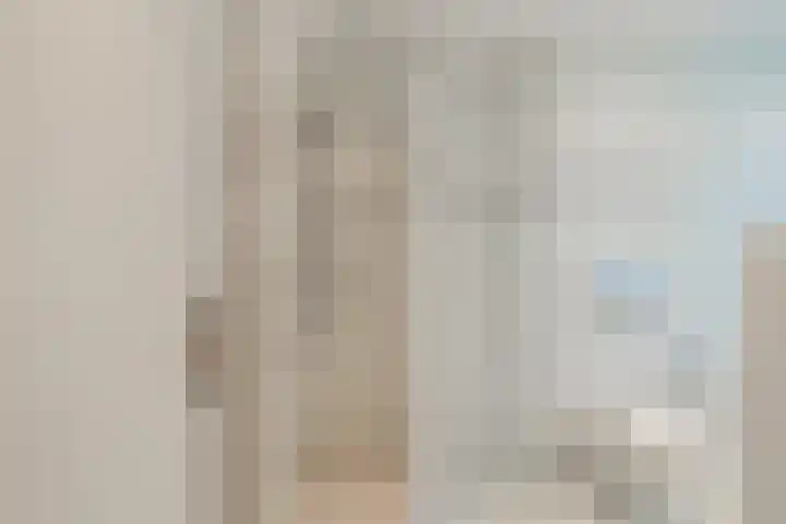 Piustuin 22 Lisse thumbnail 38