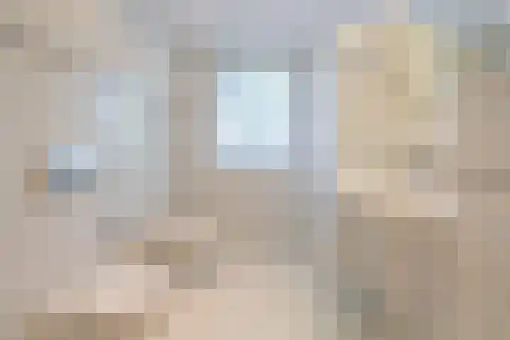 Piustuin 22 Lisse thumbnail 39