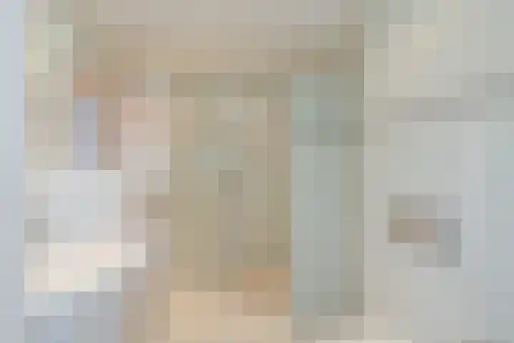 Piustuin 22 Lisse thumbnail 40