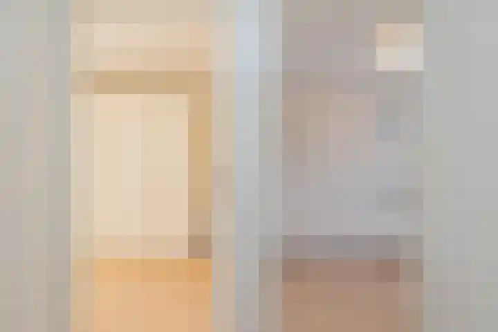 Piustuin 22 Lisse thumbnail 41