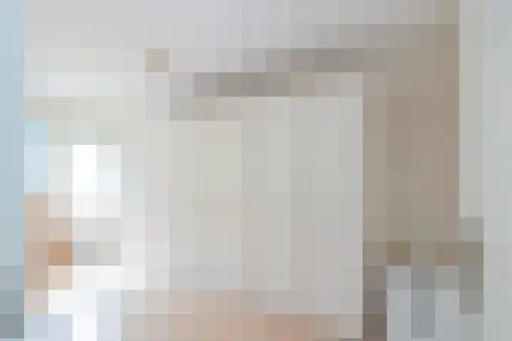 Piustuin 22 Lisse thumbnail 42