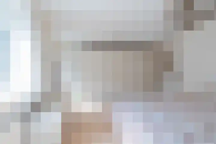 Piustuin 22 Lisse thumbnail 43