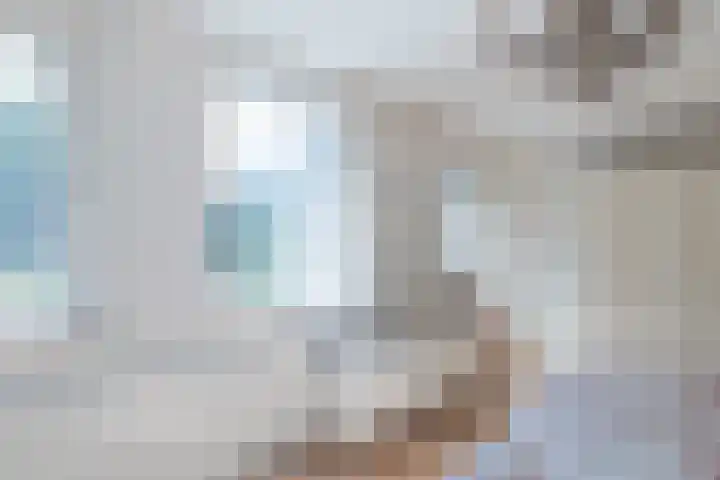 Piustuin 22 Lisse thumbnail 44