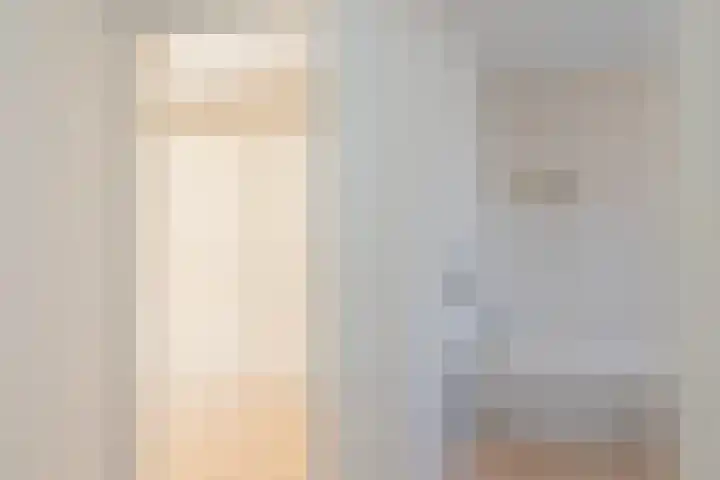 Piustuin 22 Lisse thumbnail 47