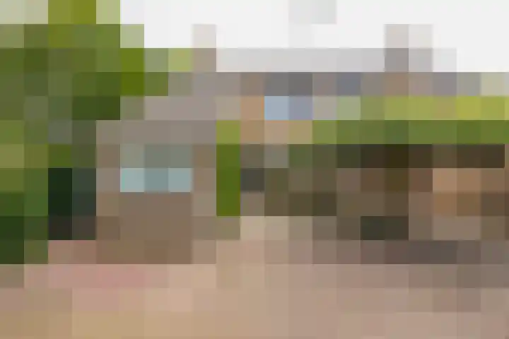 Piustuin 22 Lisse thumbnail 5