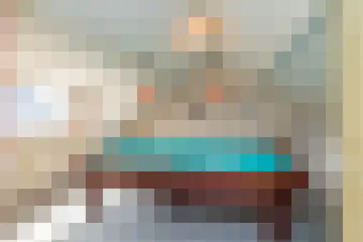 Piustuin 22 Lisse thumbnail 51
