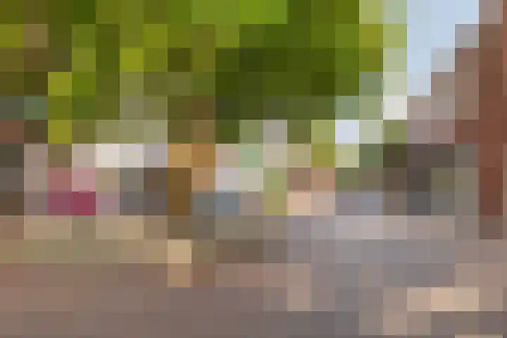Piustuin 22 Lisse thumbnail 58