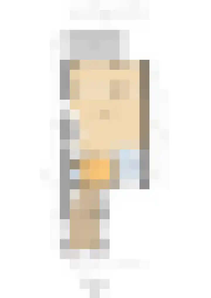 Piustuin 22 Lisse thumbnail 59