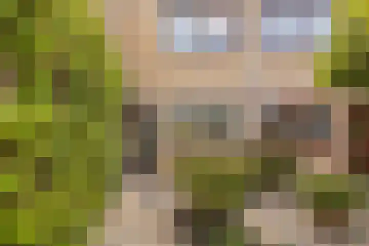 Piustuin 22 Lisse thumbnail 6