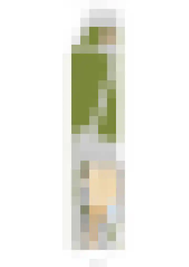 Piustuin 22 Lisse thumbnail 62