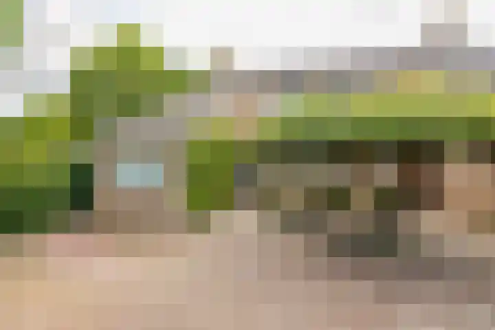Piustuin 22 Lisse thumbnail 63