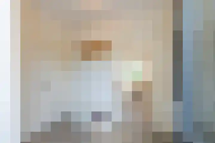 Piustuin 22 Lisse thumbnail 7