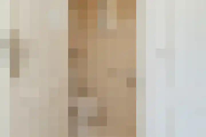 Piustuin 22 Lisse thumbnail 8