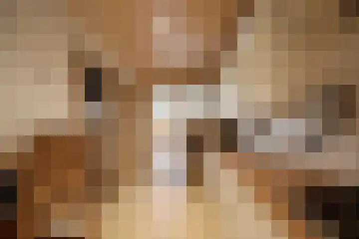 Plaats 22 A Honselersdijk thumbnail 10