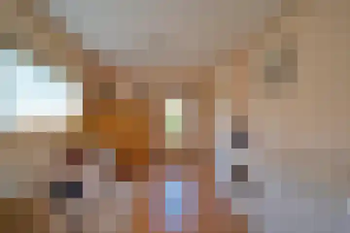 Plaats 22 A Honselersdijk thumbnail 11