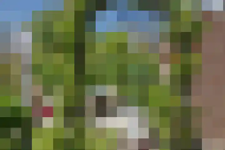 Plaats 22 A Honselersdijk thumbnail 26