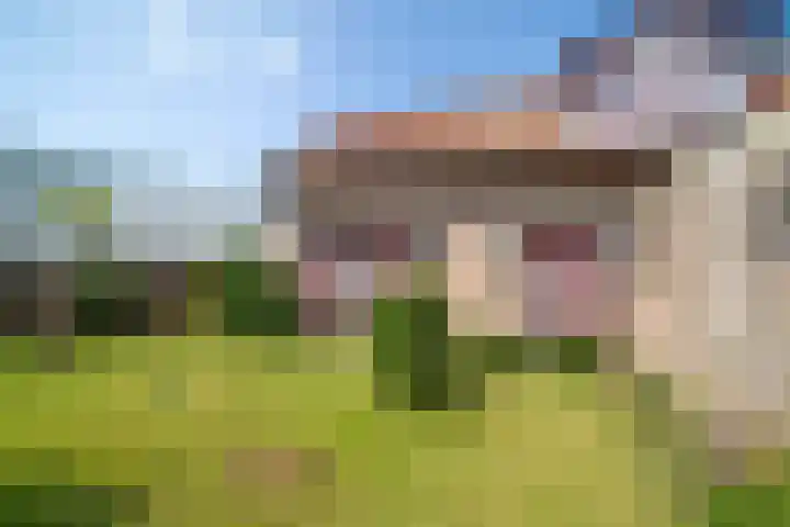Plaats 22 A Honselersdijk thumbnail 29