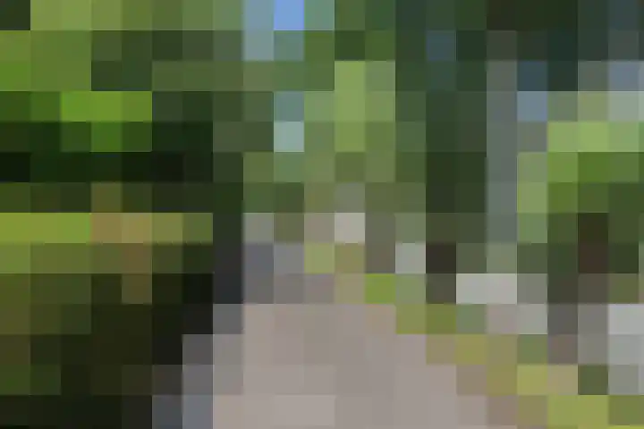 Plaats 22 A Honselersdijk thumbnail 36