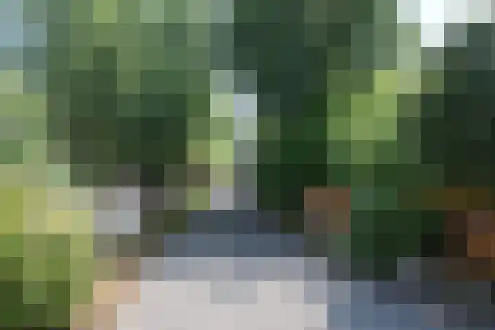 Plaats 22 A Honselersdijk thumbnail 37
