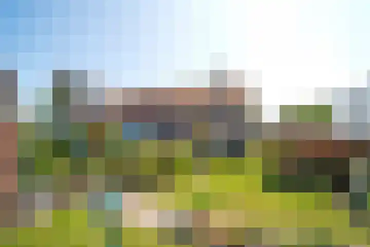 Plaats 22 A Honselersdijk thumbnail 43