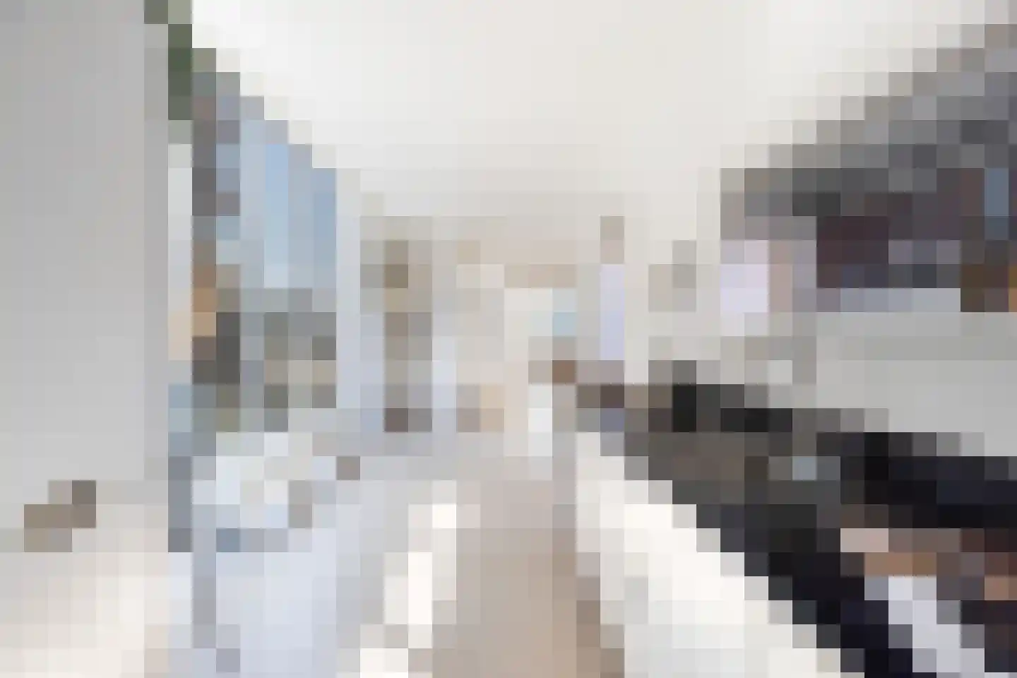 Plaet 8 Papendrecht thumbnail 14