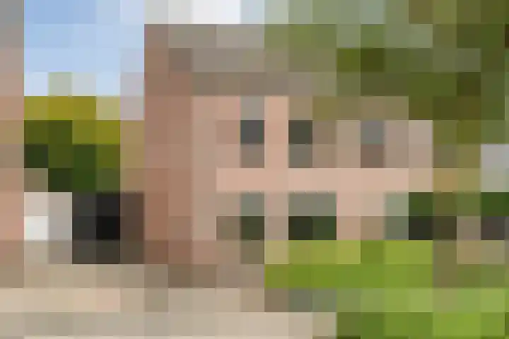 Plaggenslag 34 in Nieuwleusen
