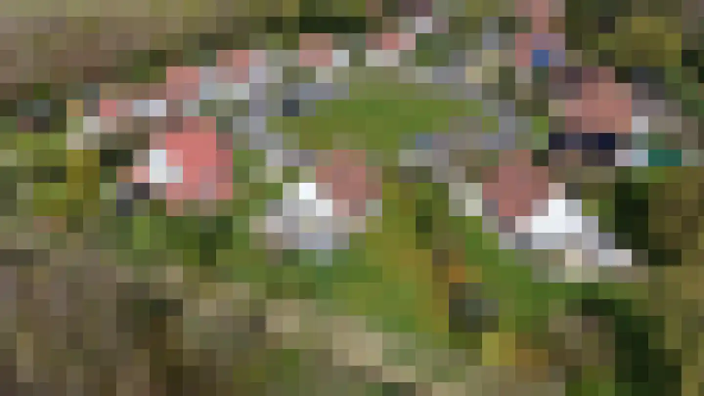 Plan Herkingen West 22 Herkingen thumbnail 6