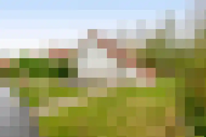 Plan Herkingen West 7 Herkingen thumbnail 16