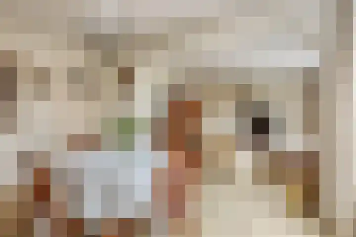 Planciusplein 20 B Breda thumbnail 16